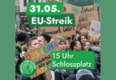 EU-weiter Klimastreik am 31.05.!